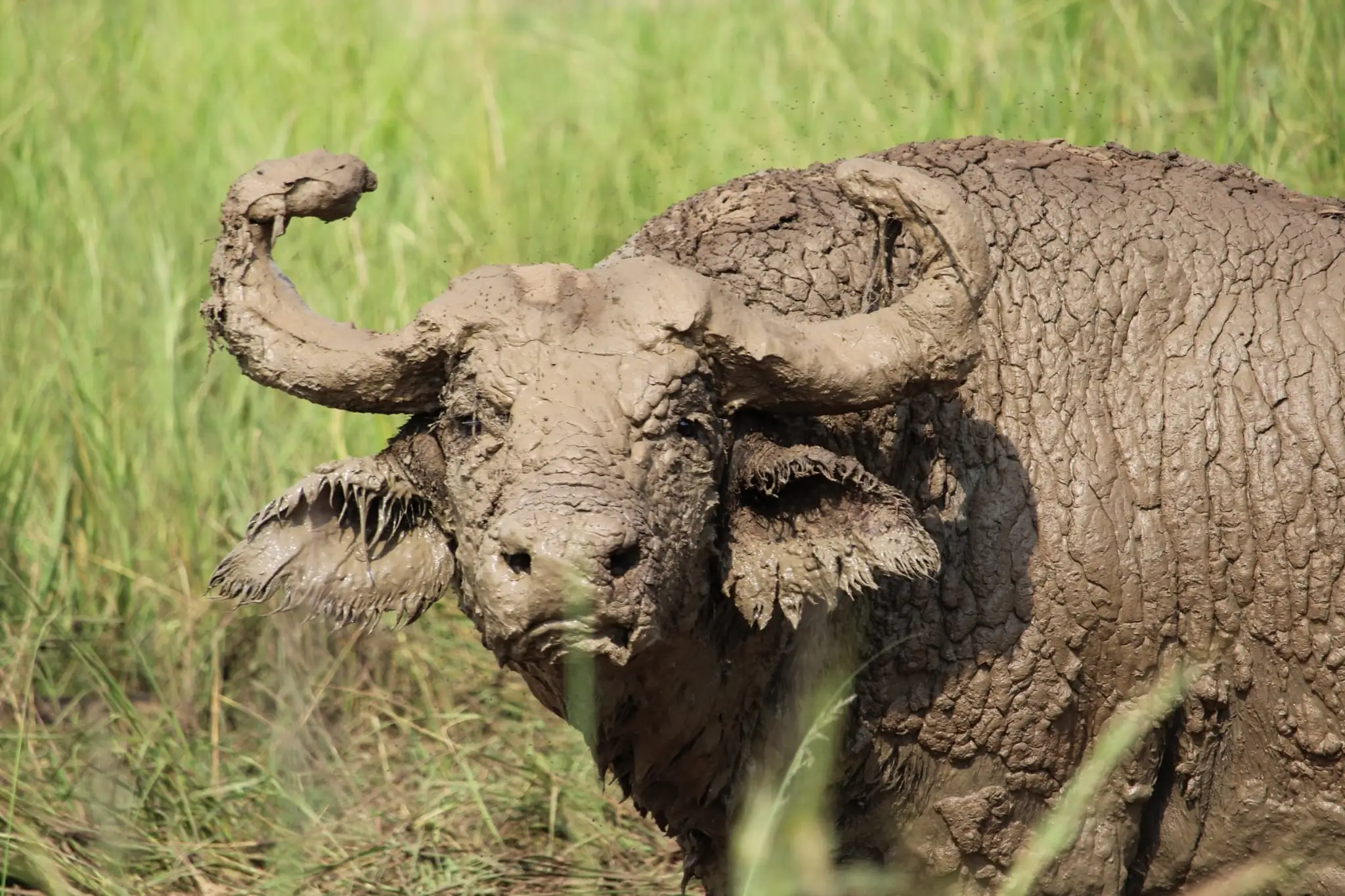 Semuliki National Park